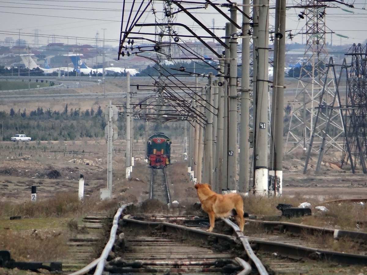 ТЭМ2-6400; Фотозарисовки (Азербайджанские железные дороги)