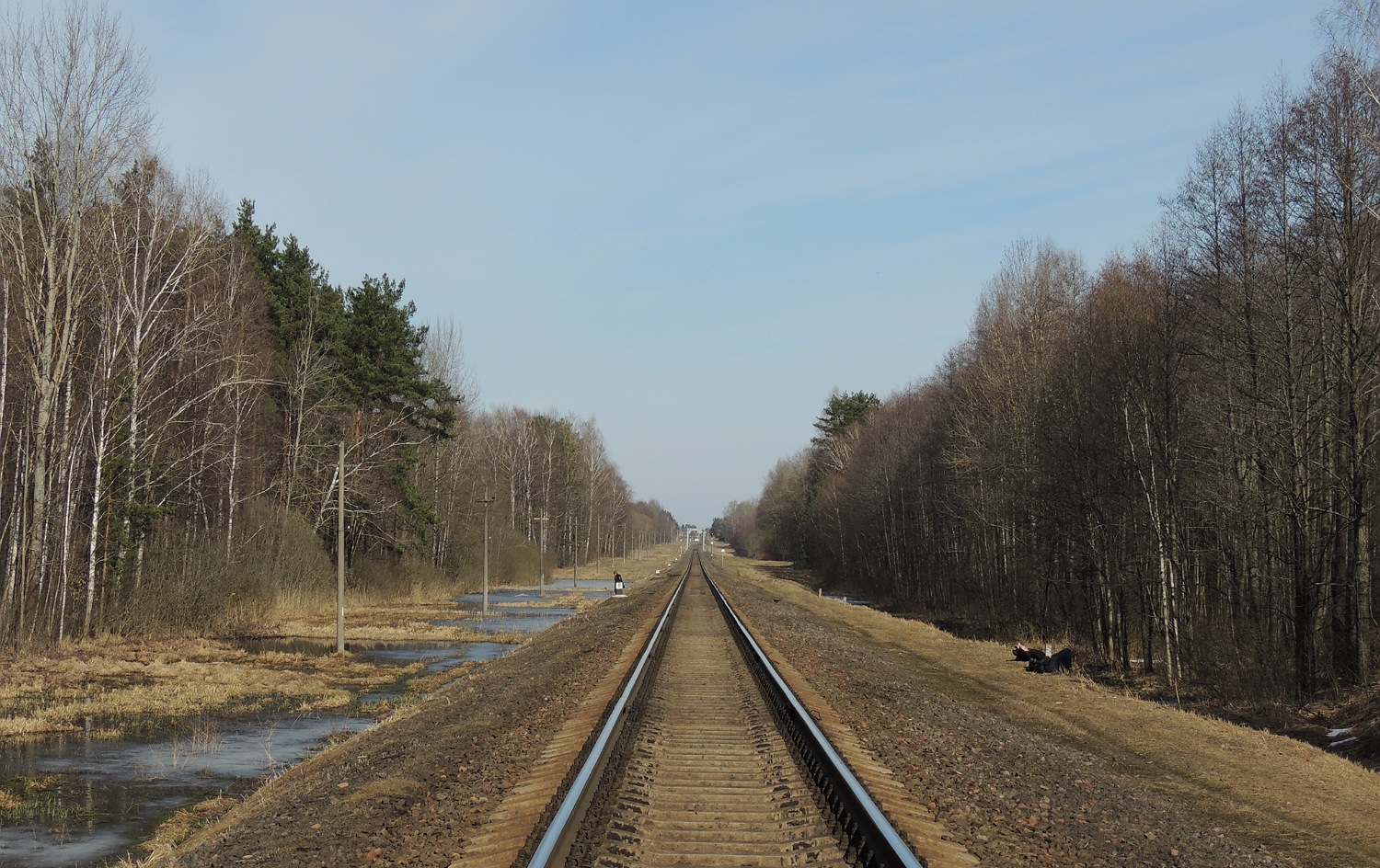 Белорусская железная дорога — Перегоны