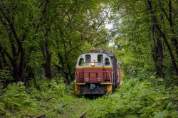 ТГМ23В48-031 (Moscow Railway)