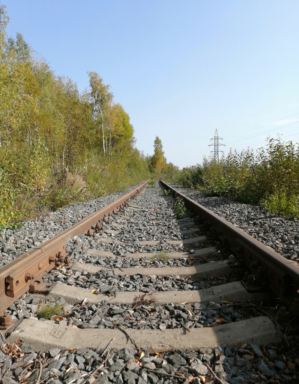 Московская железная дорога — Прочие