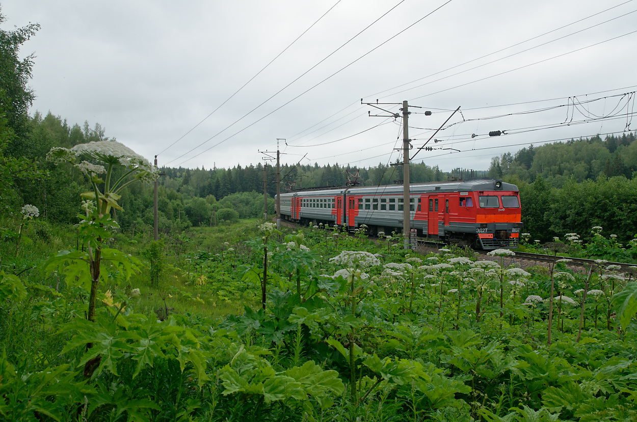 ЭД2Т-0037; Фотозарисовки (Московская железная дорога)