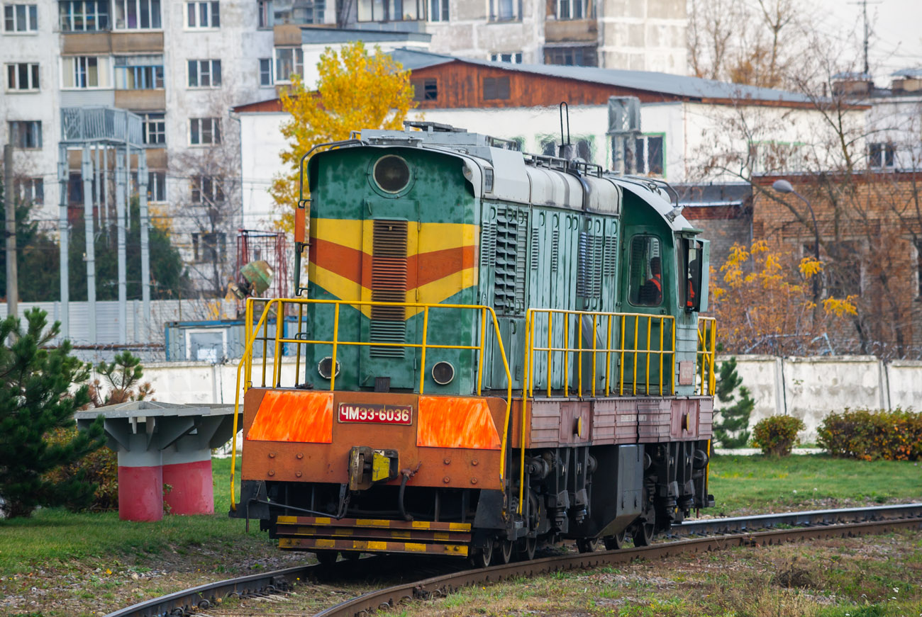 ЧМЭ3-6036