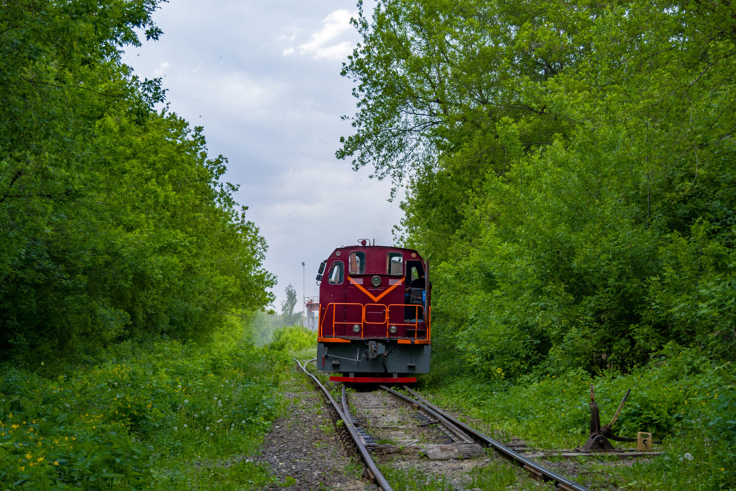 ТГМ23В48-2596