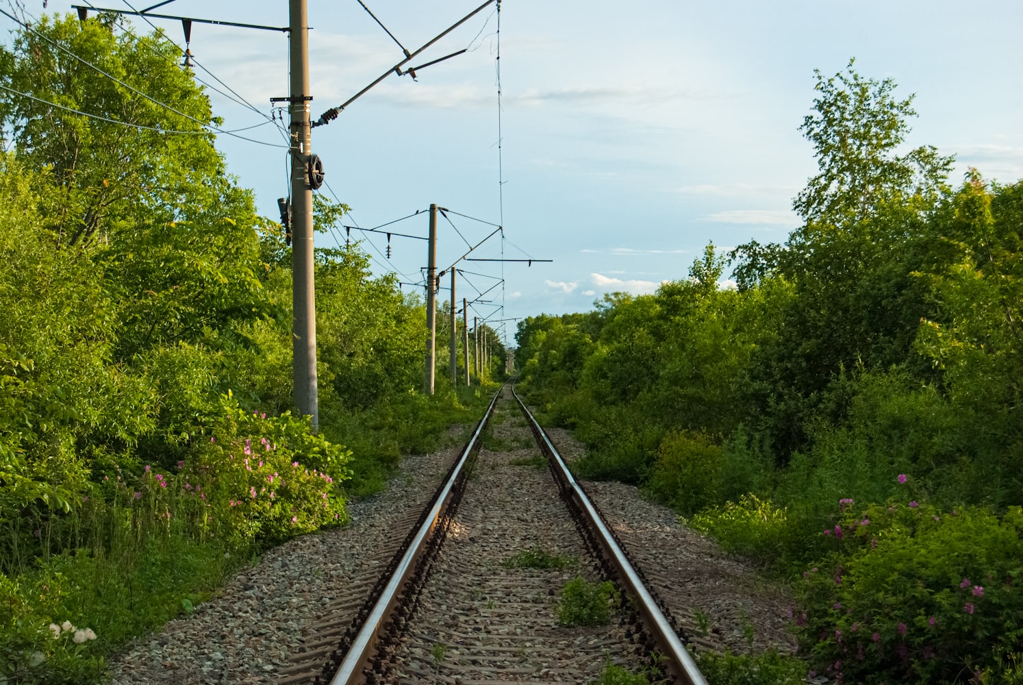 Дальневосточная железная дорога — Подъездные пути