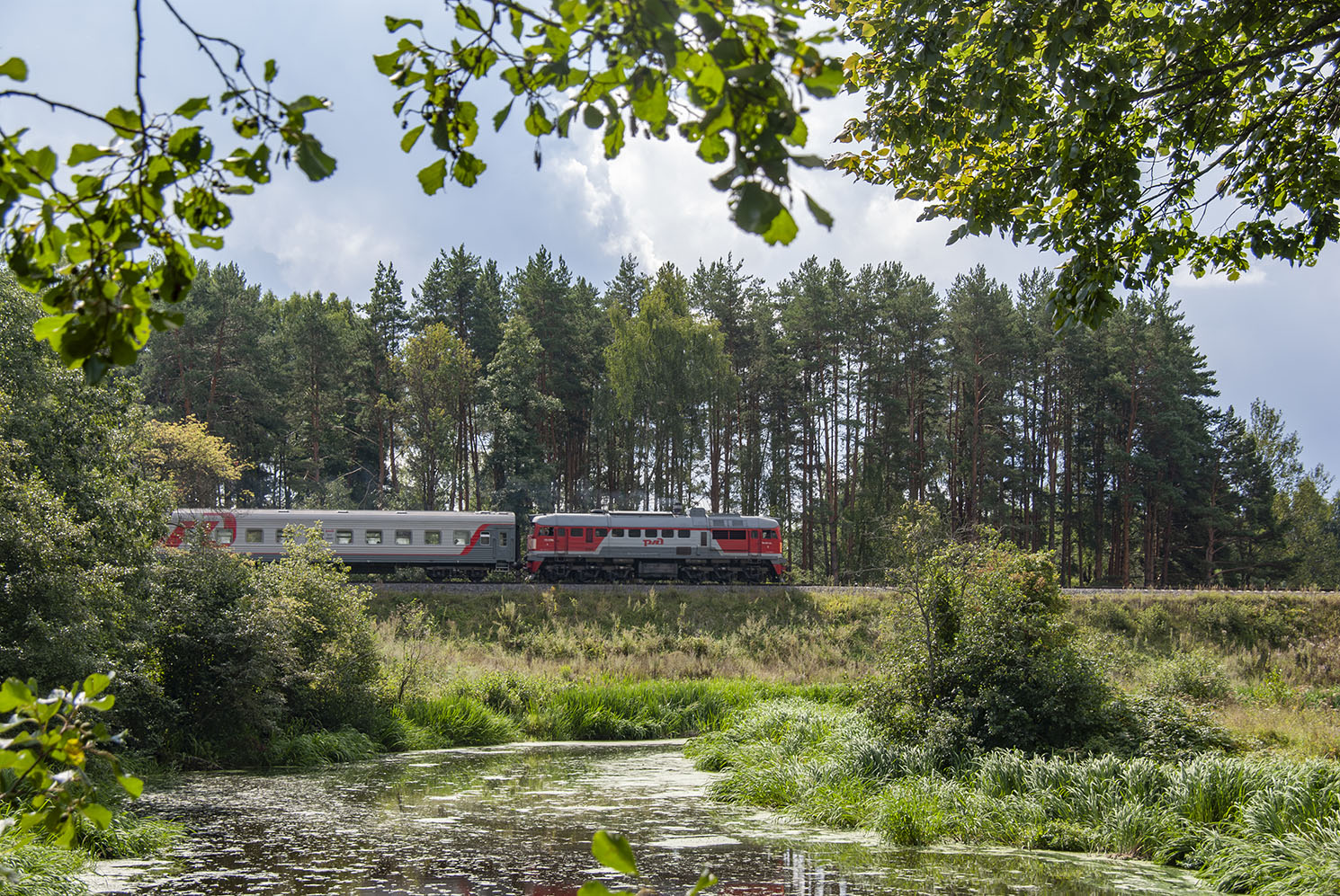 ДМ62-1733; Фотозарисовки (Октябрьская железная дорога)