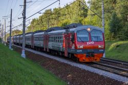 446 КБ
