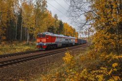 919 КБ