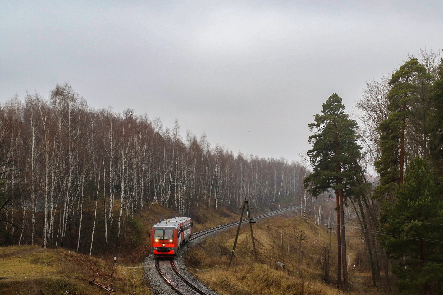 РА1-0005