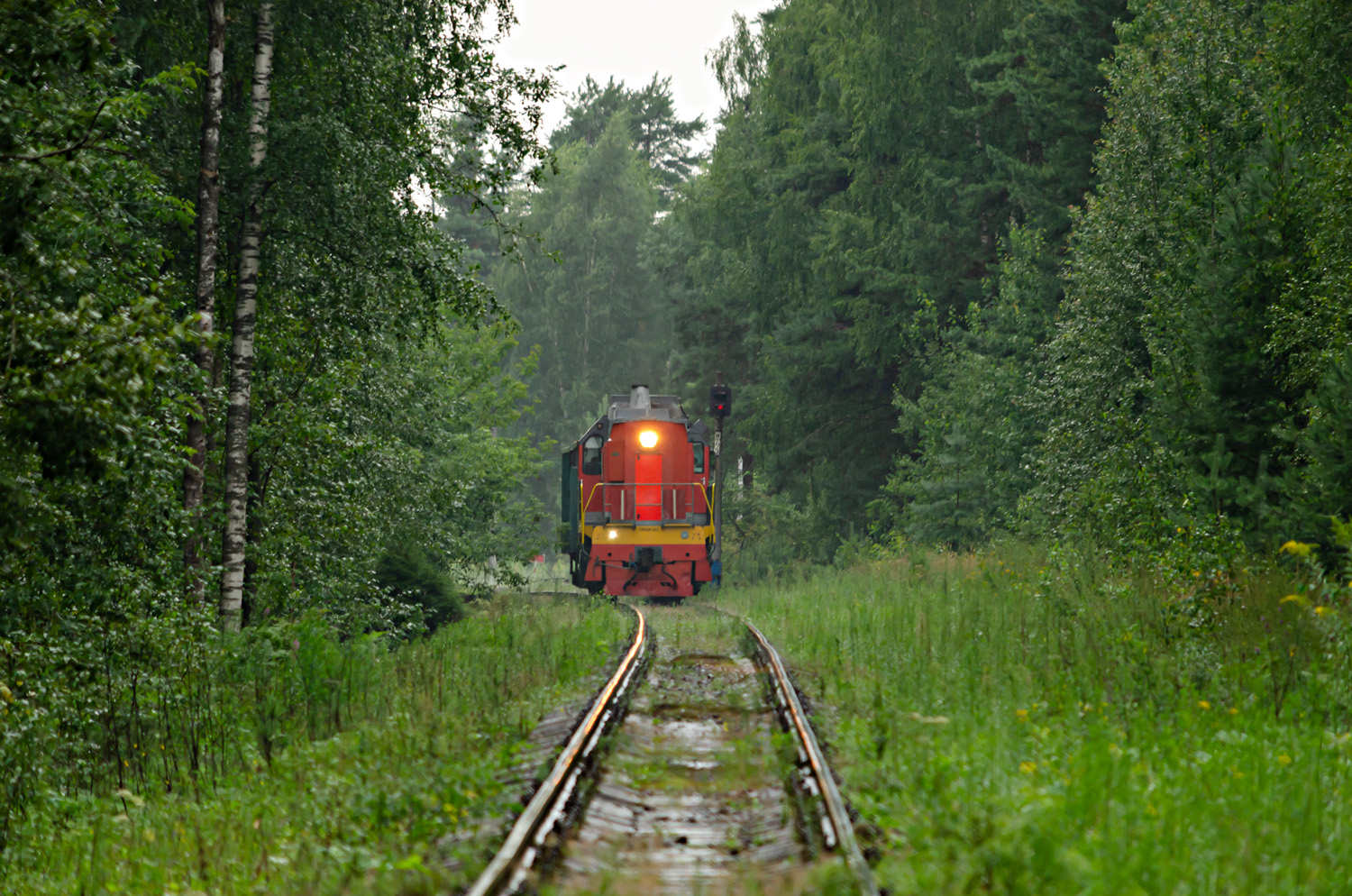 ТЭМ18ДМ-1953