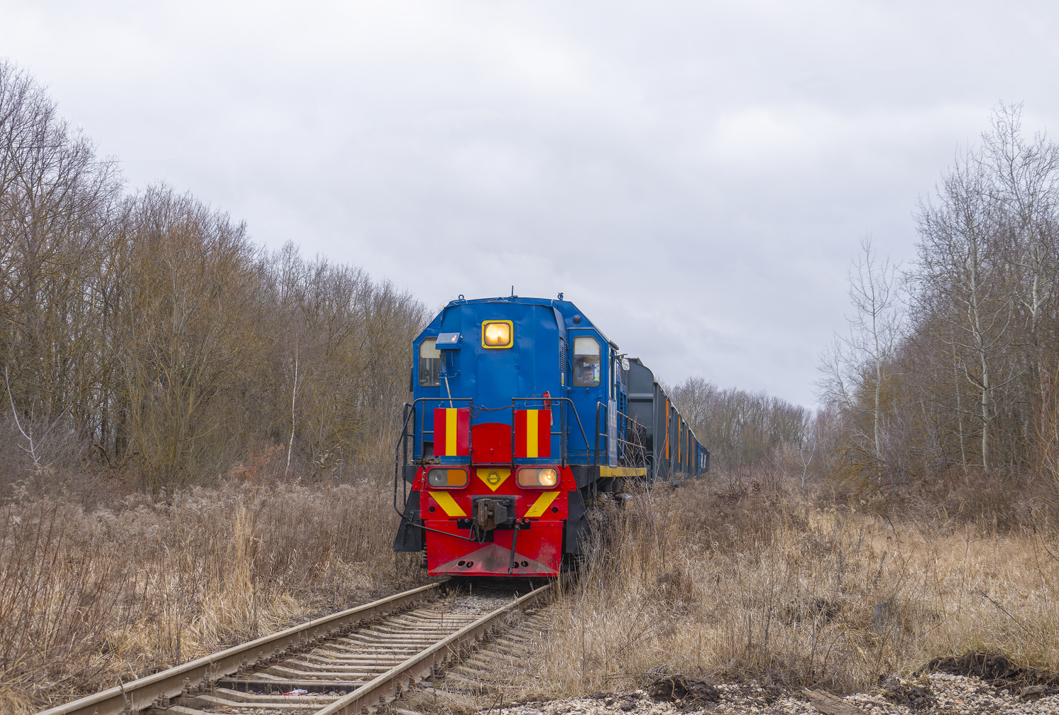 ТЭМ18-133