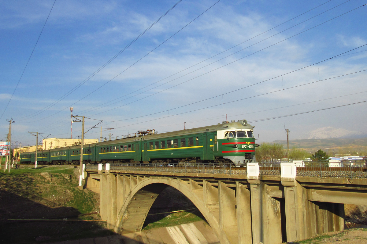 ЭР2М-3005