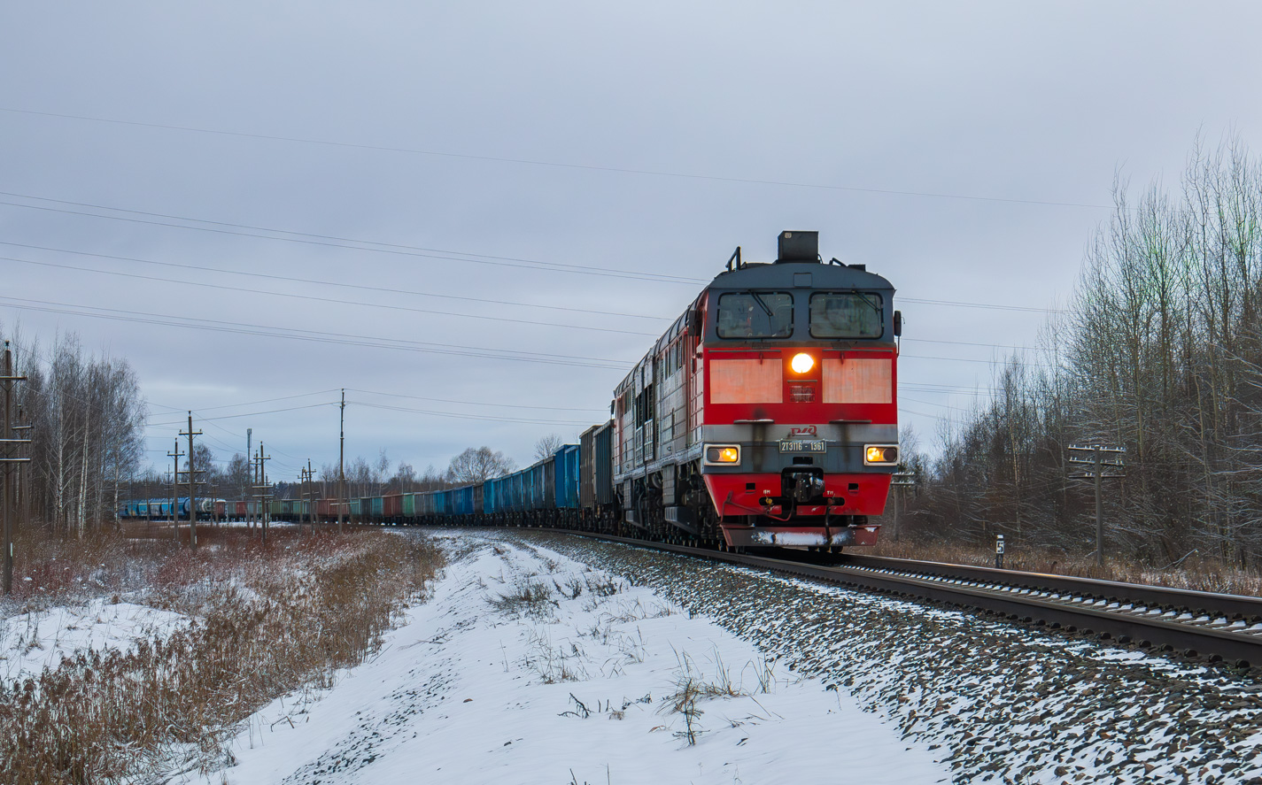 2ТЭ116-1361