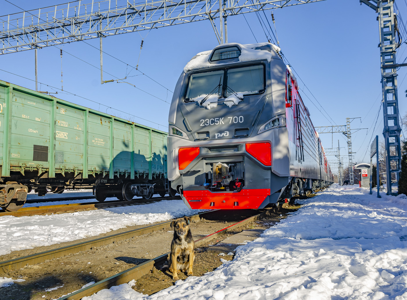 2ЭС5К-700; Транспорт и животные (Западно-Сибирская железная дорога)