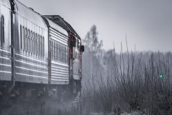 919 КБ