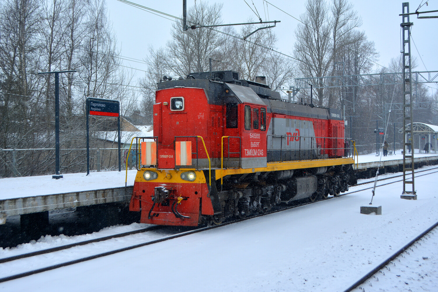 ТЭМ18ДМ-1246
