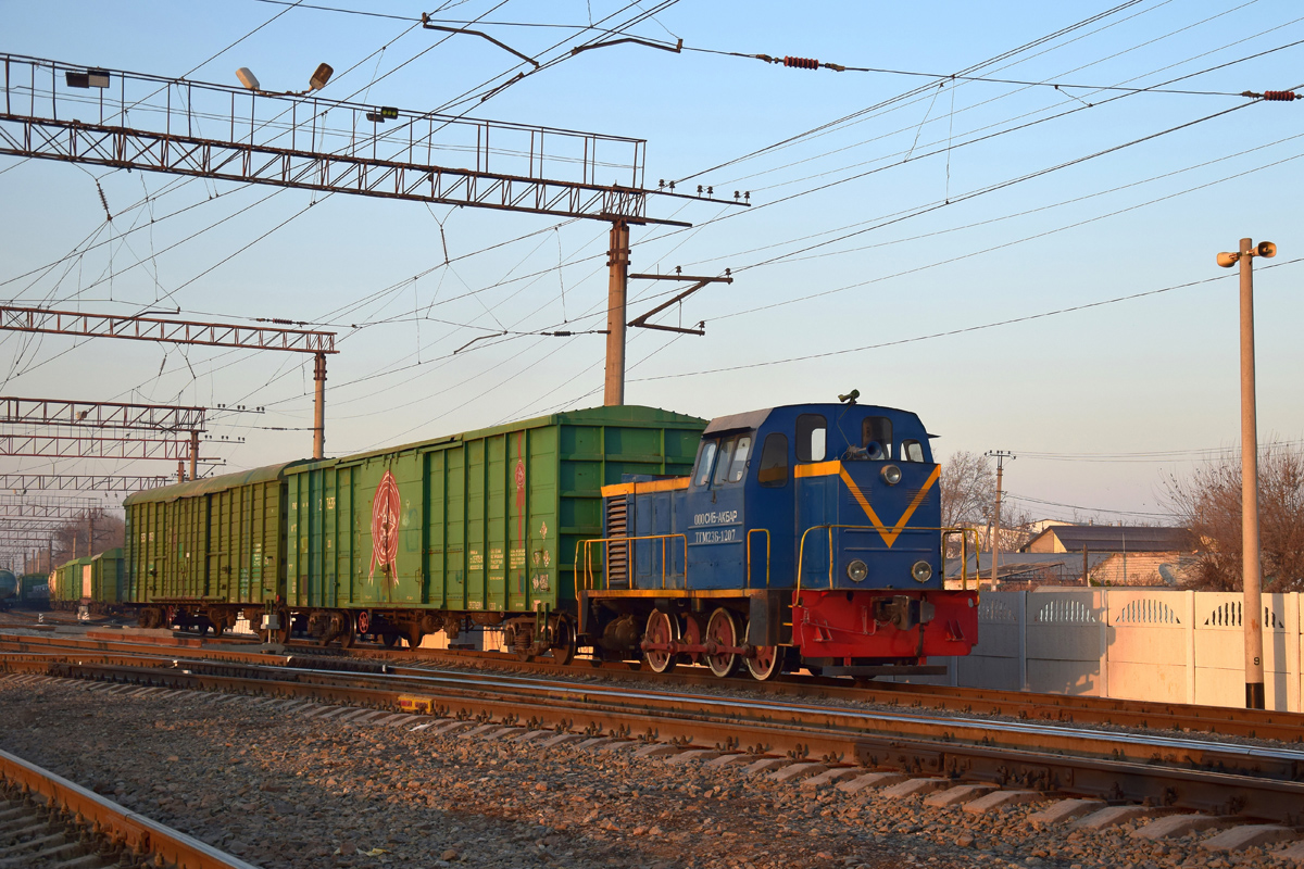 ТГМ23Б-1207