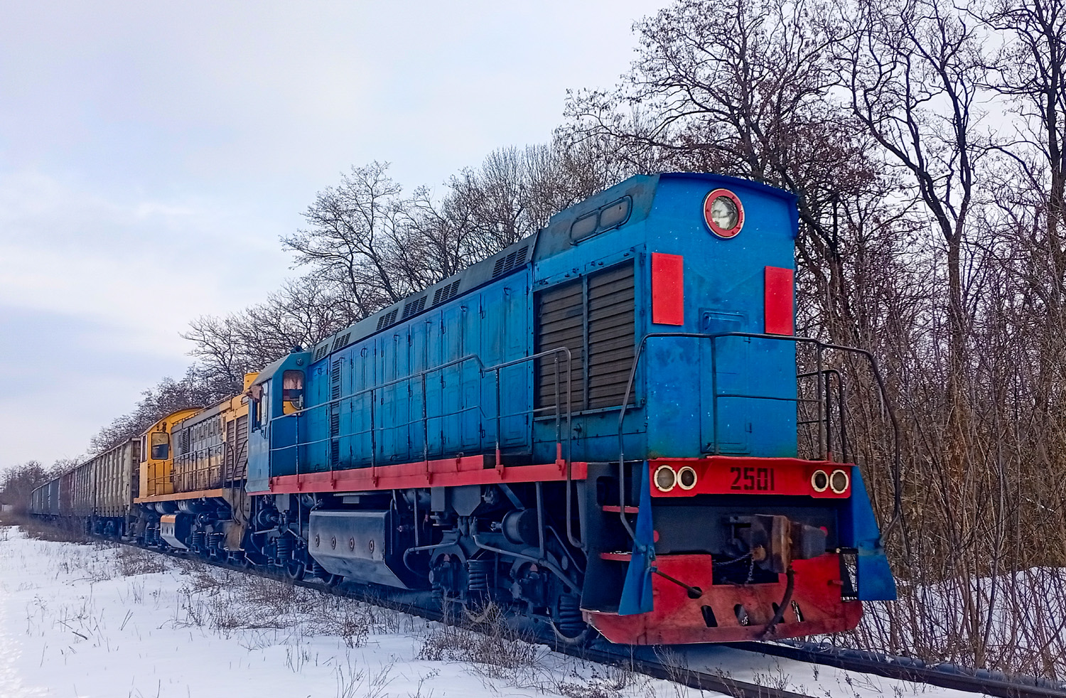ТГМ6А-2501
