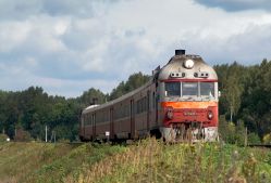 981 КБ