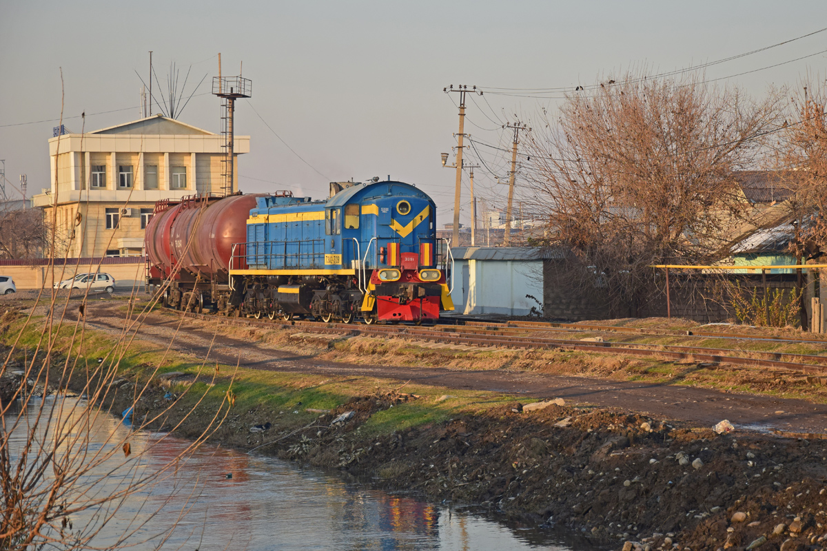 ТЭМ2-3091