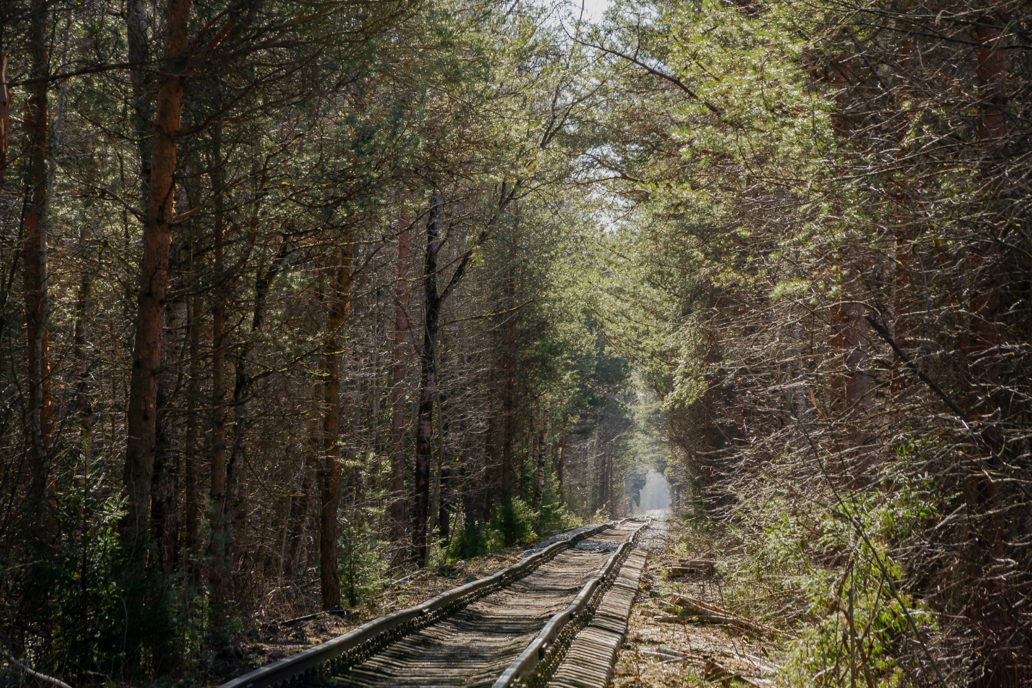 October Railway &mdash; driveway