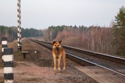 505 КБ
