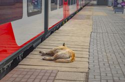 537 КБ
