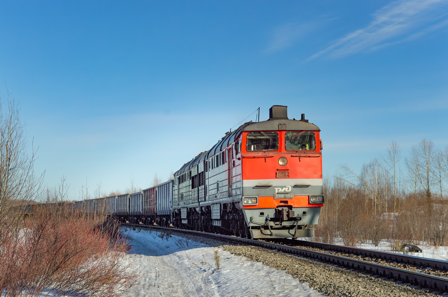 2ТЭ116-1264Б