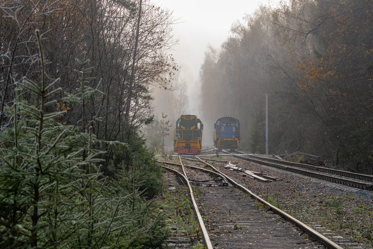 ТГМ6А-2166; ТГМ4-2964