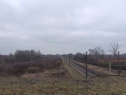 305 КБ