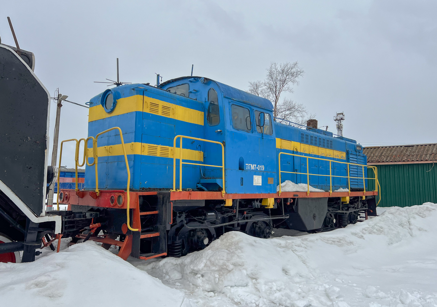 ТГМ7-019