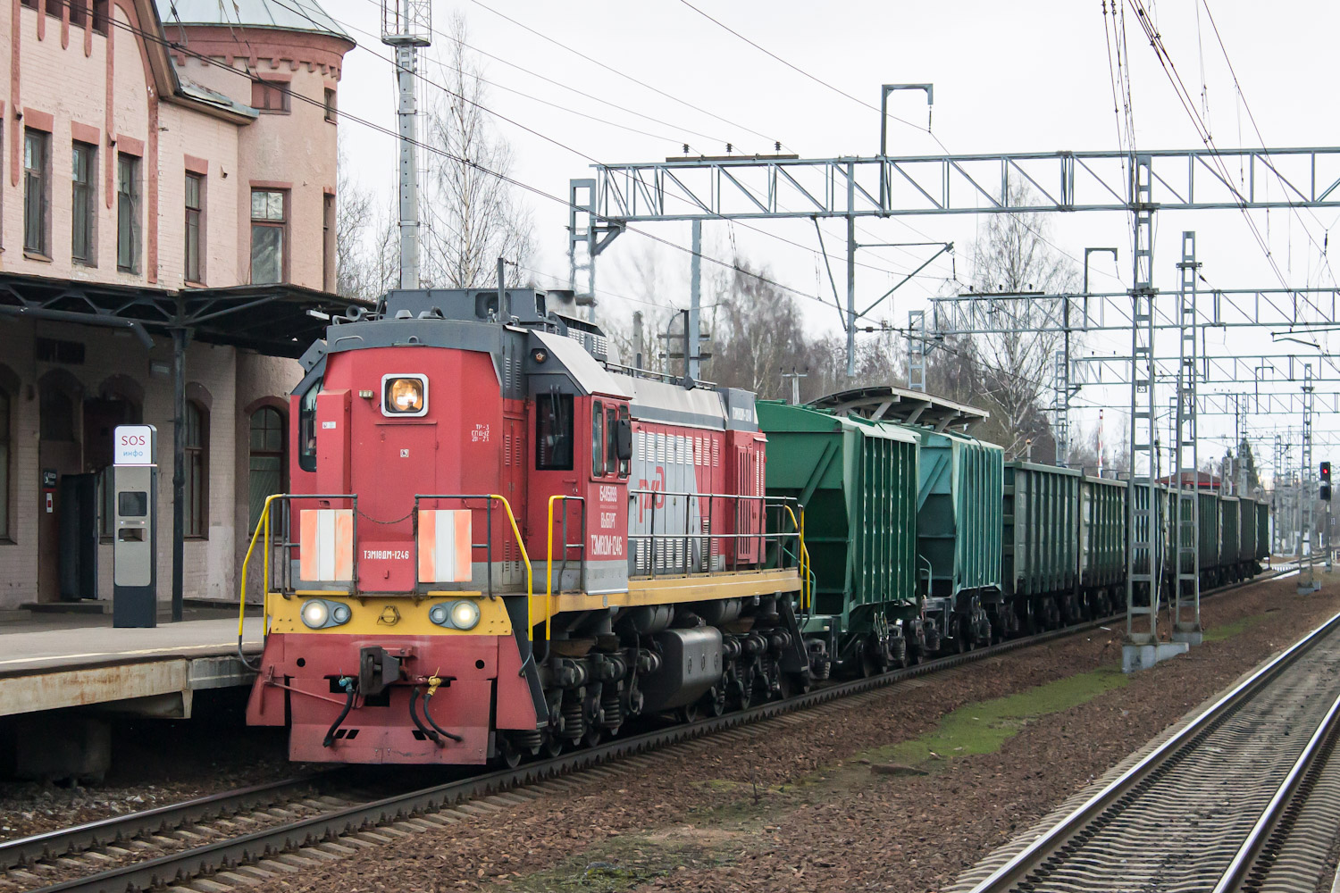 ТЭМ18ДМ-1246