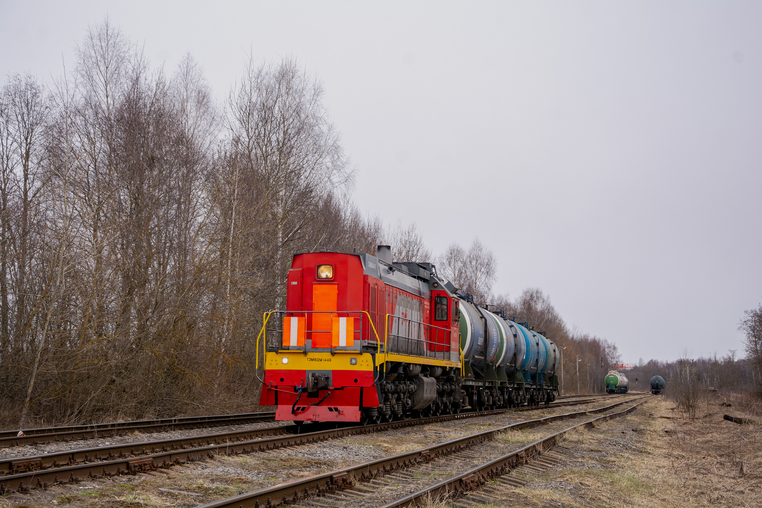 ТЭМ18ДМ-1446