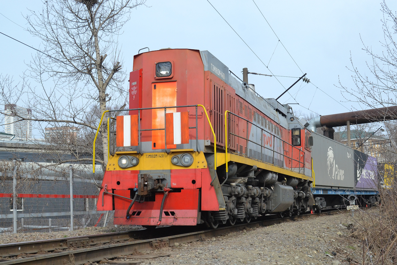 ТЭМ18ДМ-1491