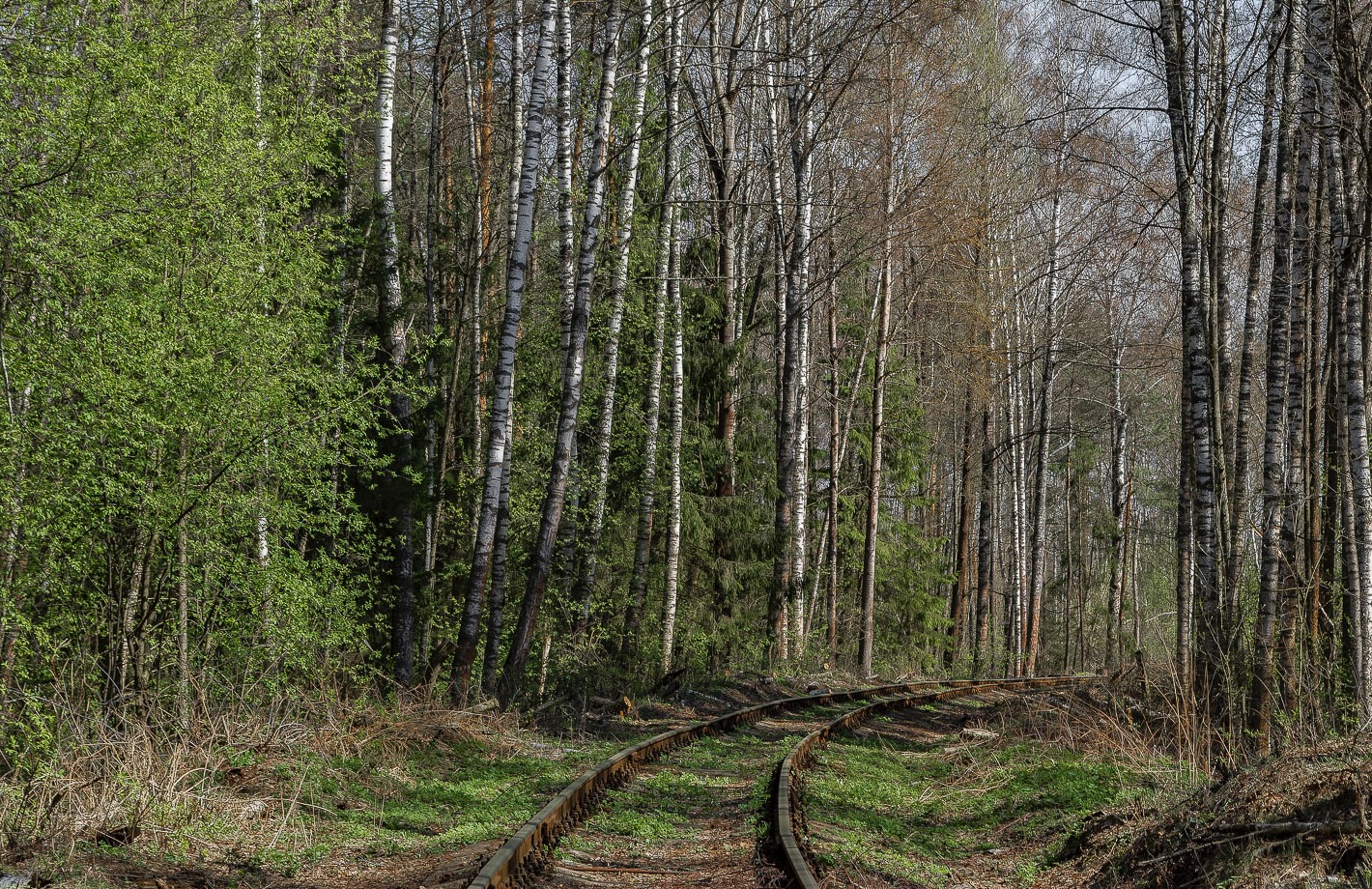 Московская железная дорога &mdash; Подъездные пути