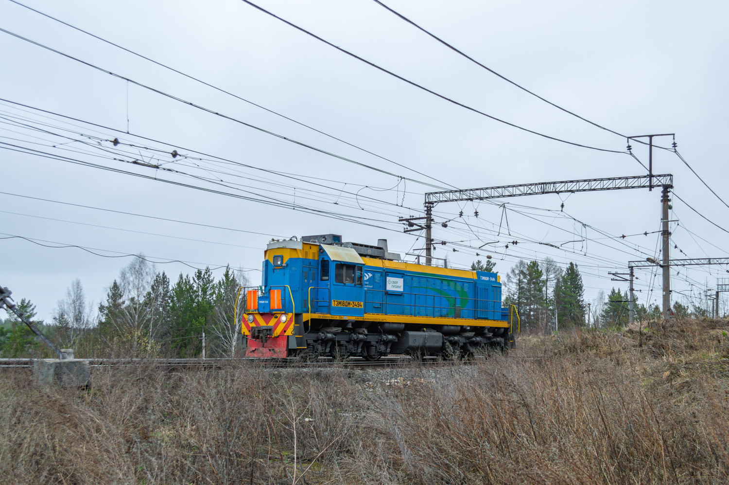 ТЭМ18ДМ-3494