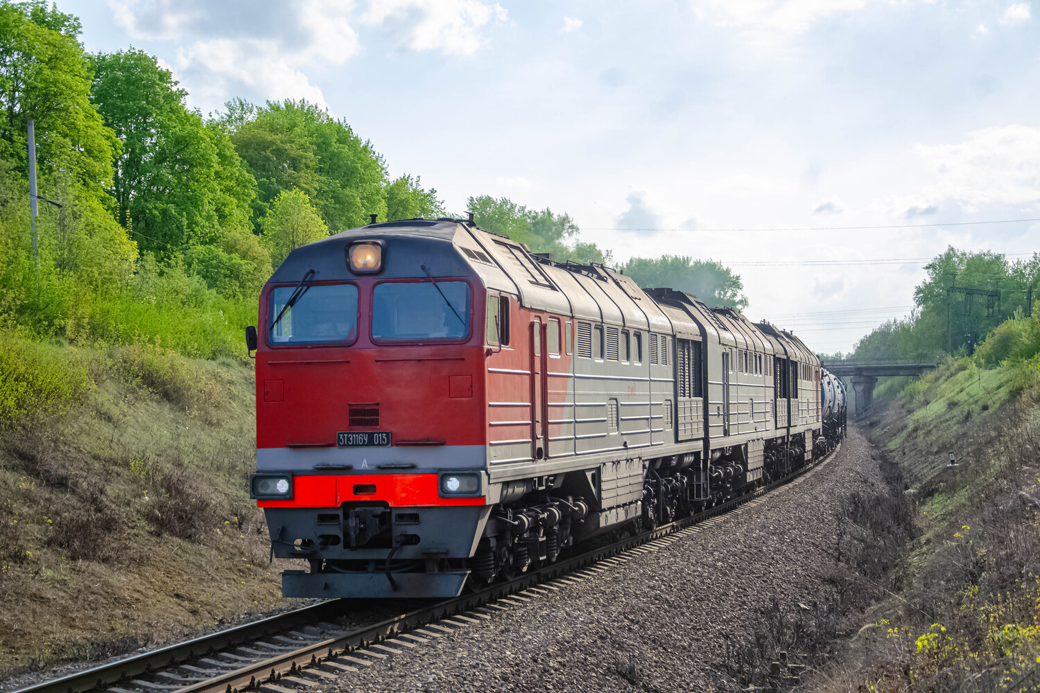 3ТЭ116У-013