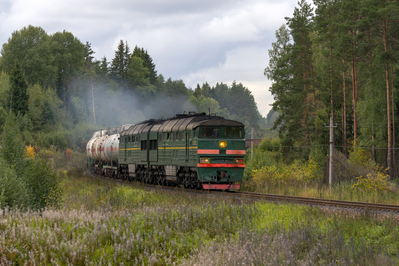 2ТЭ116К-631