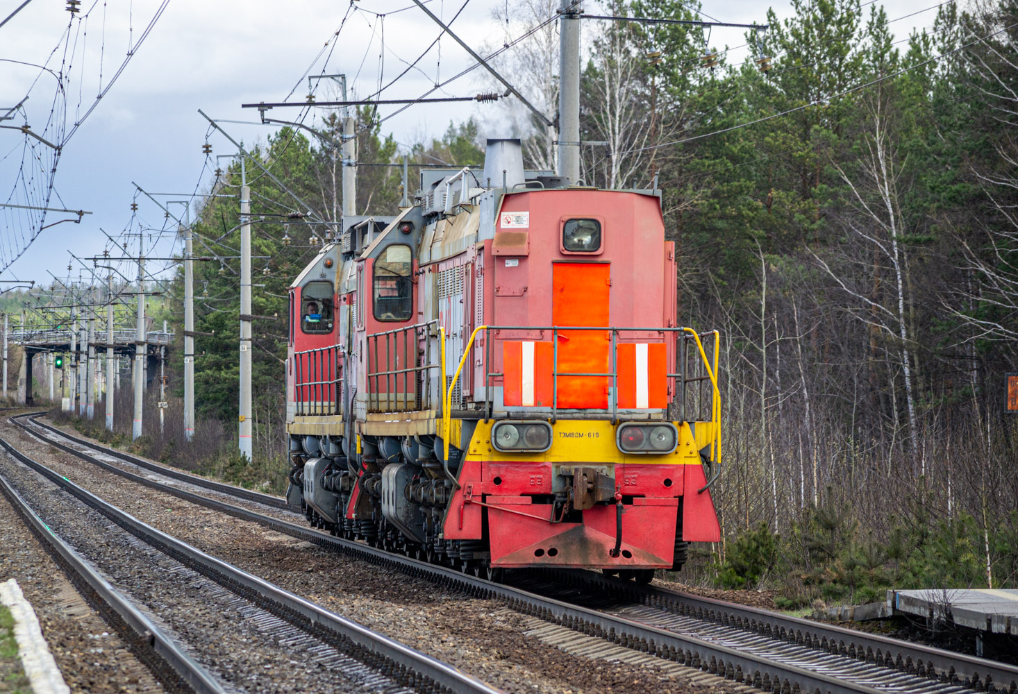 ТЭМ18ДМ-619