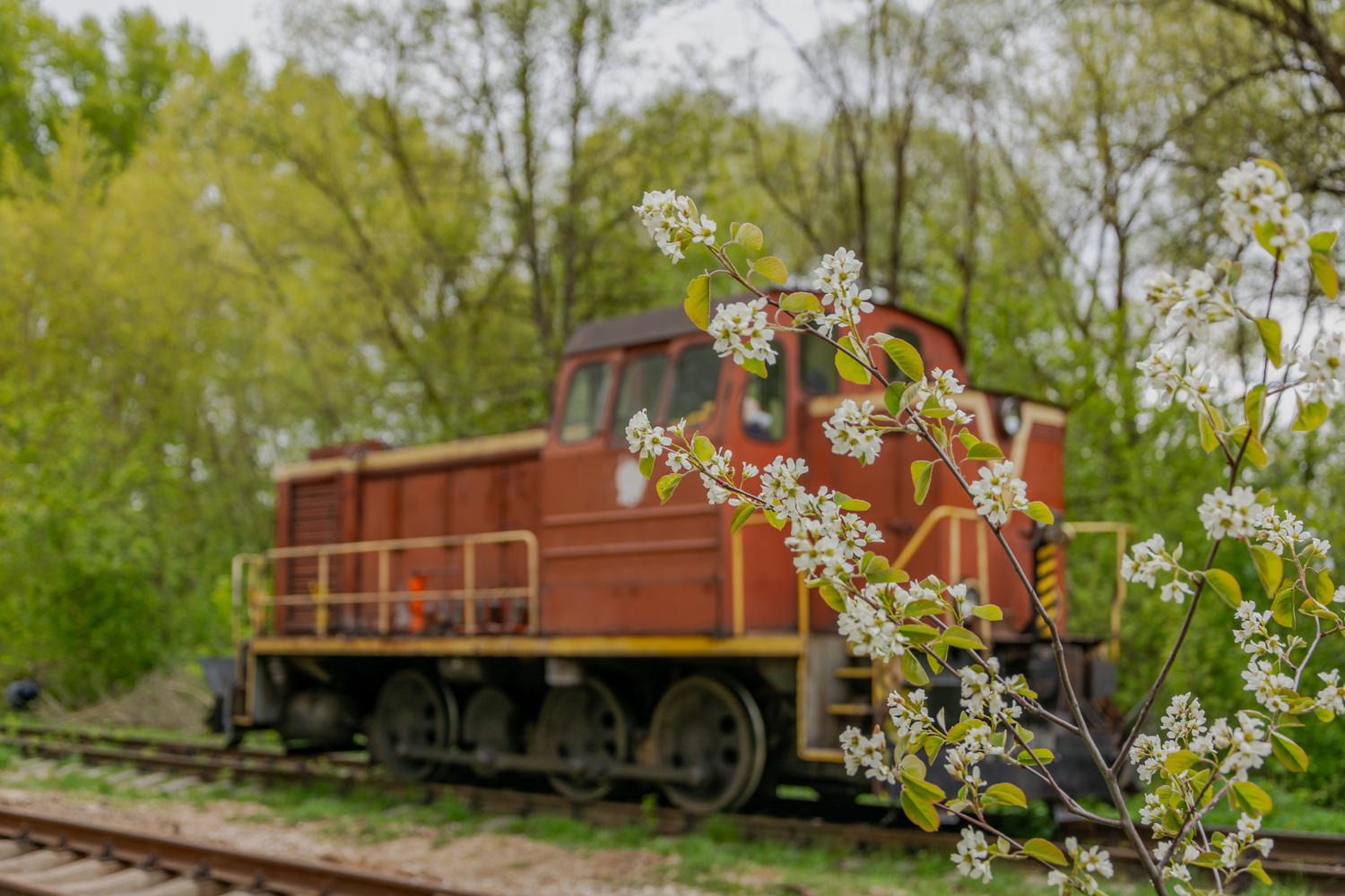 Фотозарисовки (Октябрьская железная дорога)