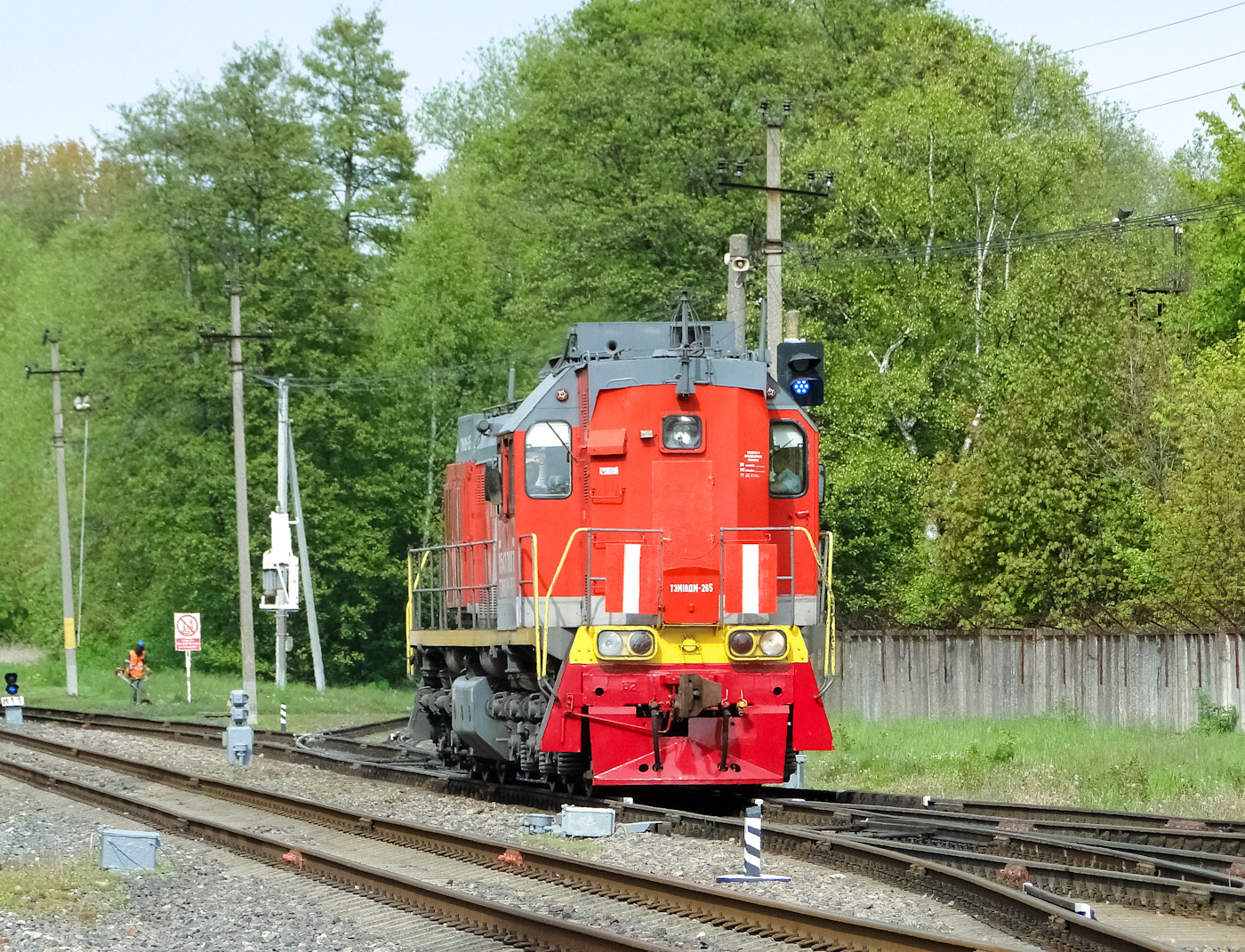 ТЭМ18ДМ-265
