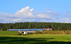 318 КБ