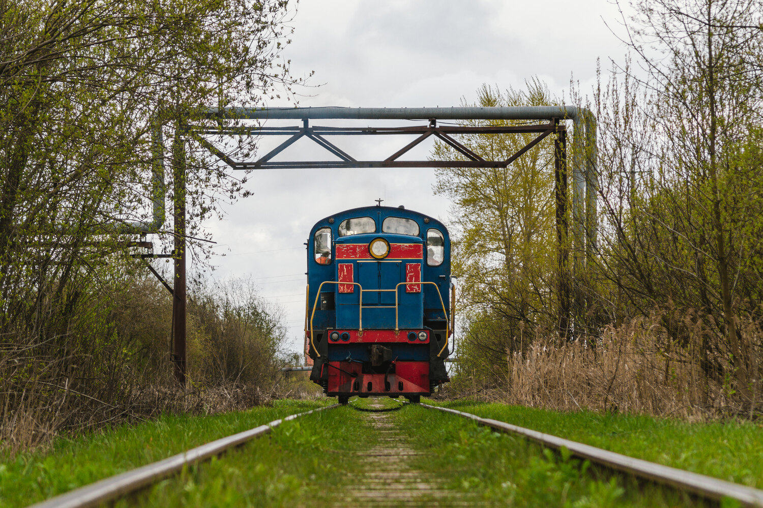ТГМ4А-2569