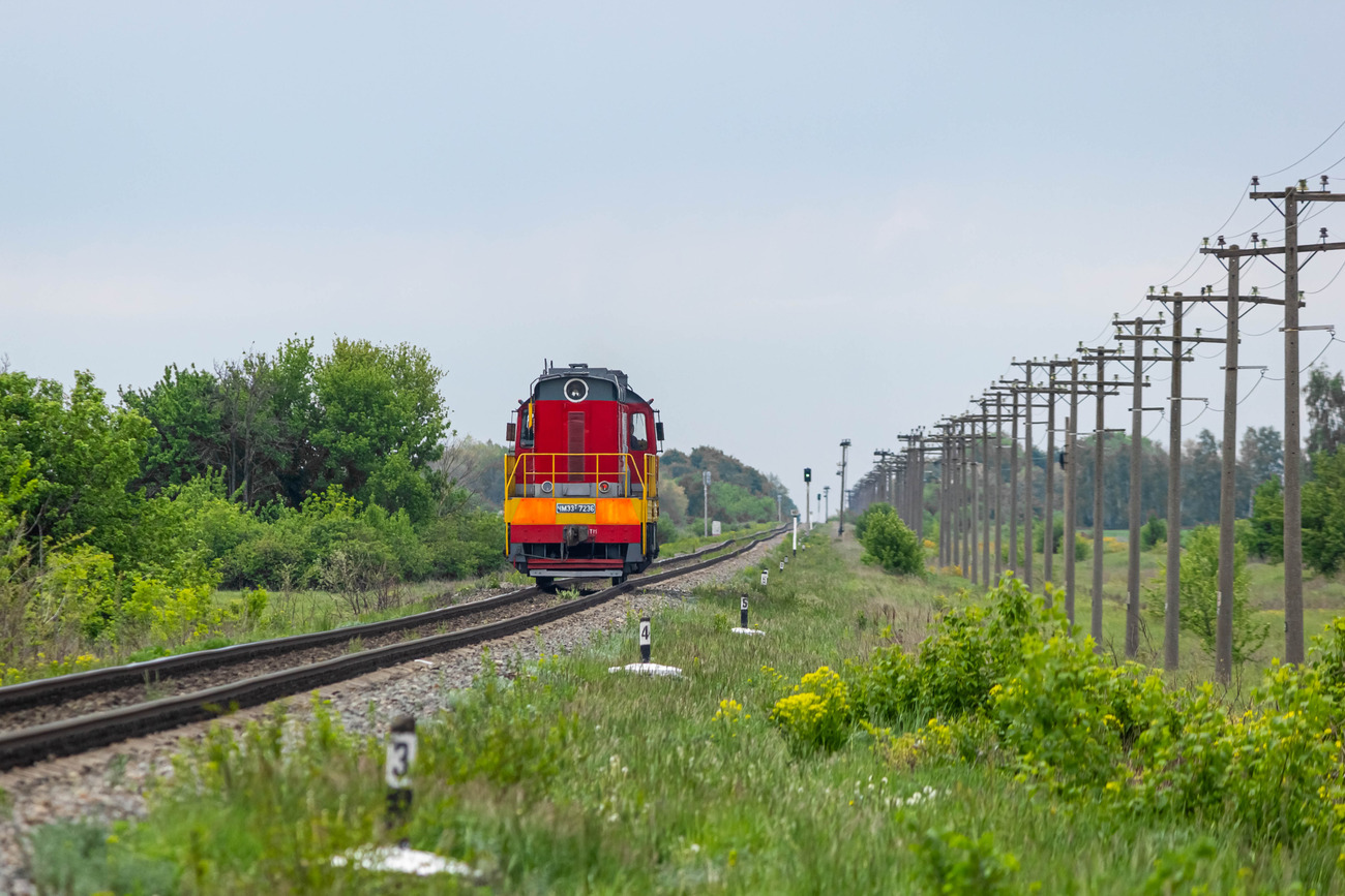 ЧМЭ3Т-7236