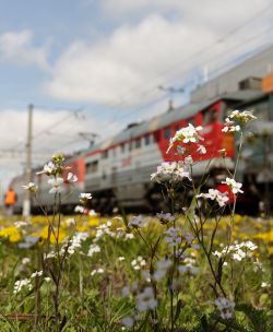 304 КБ
