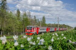 894 КБ