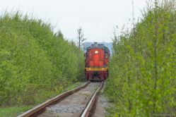 736 КБ