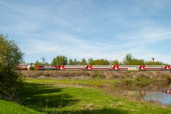946 КБ