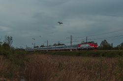 721 КБ