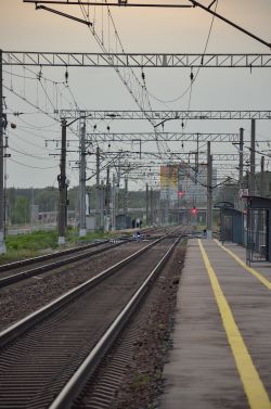503 КБ