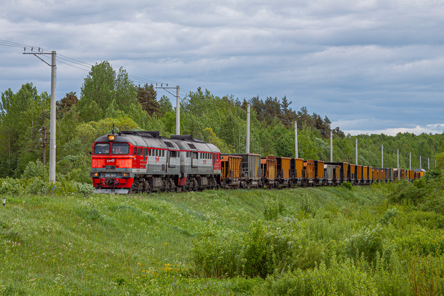 2М62-0819